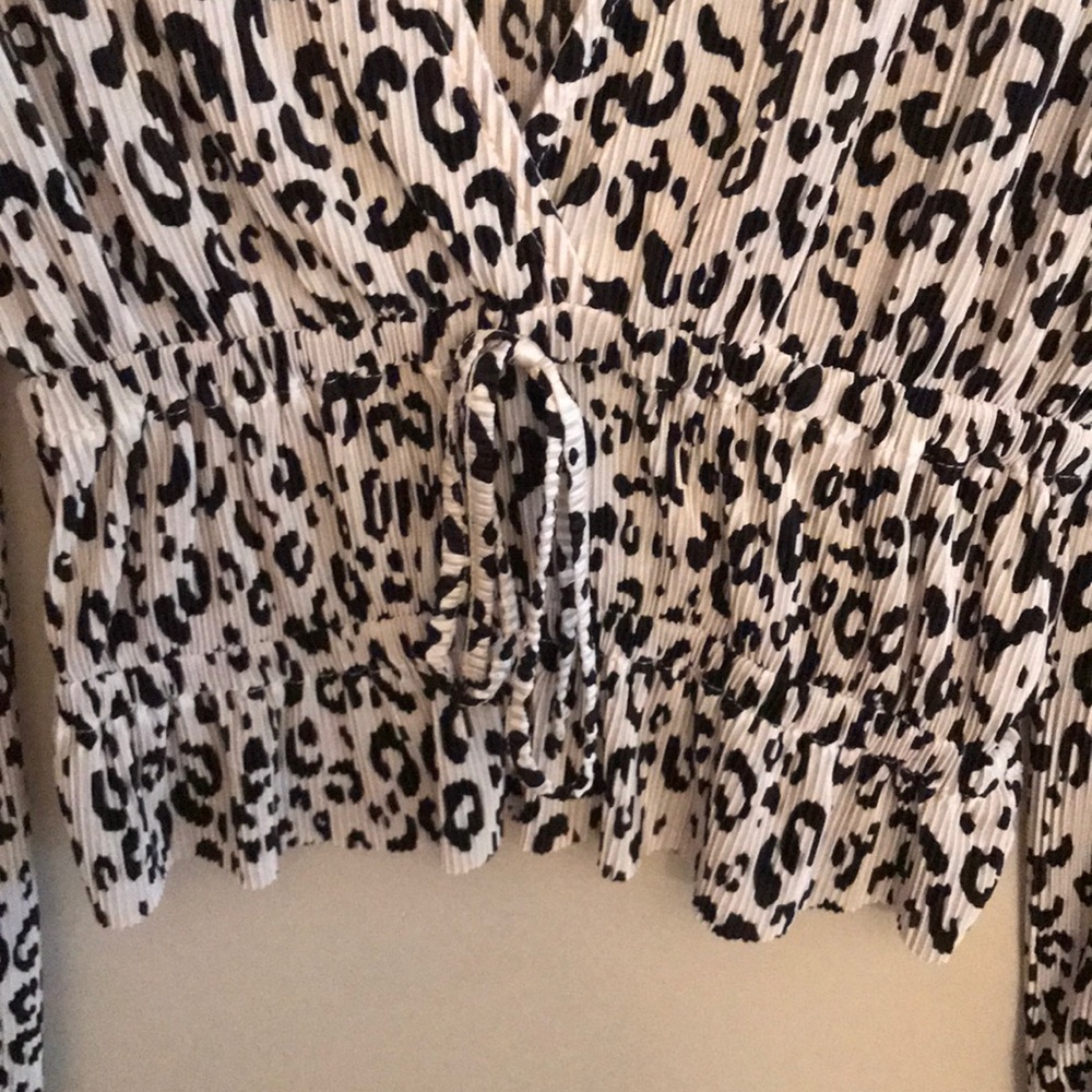 Zara Leopard Blouse - Picture 3 of 6